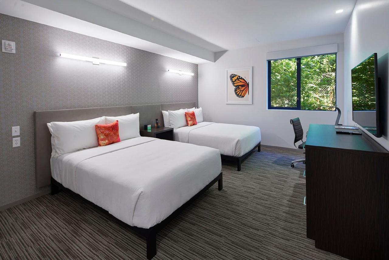 Standard Two Queen Beds Non-Smoking