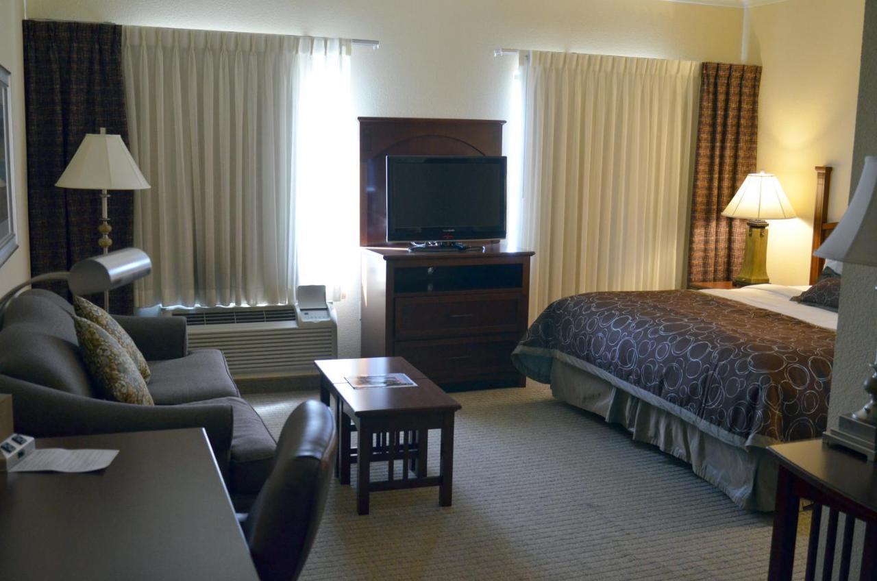 King Studio Suite