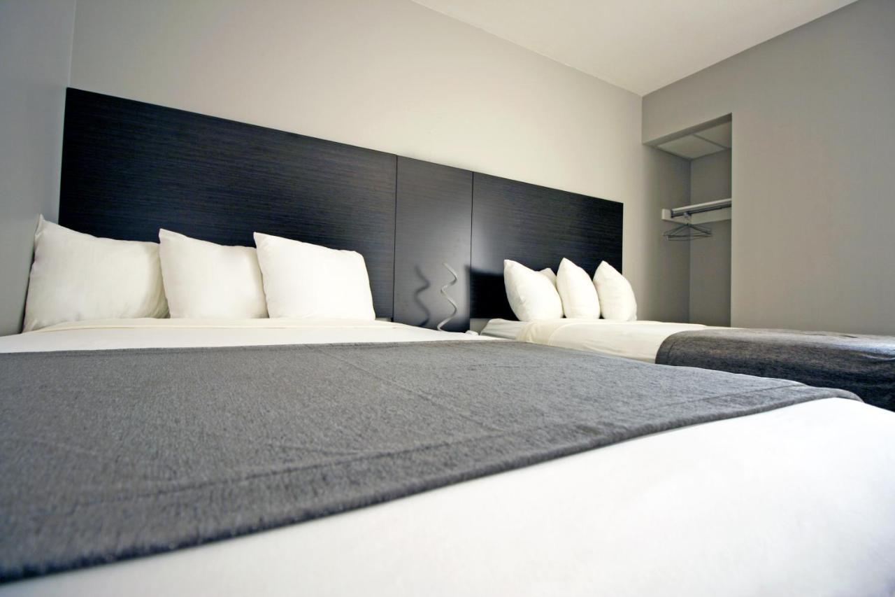 One-Bedroom Suite Sofa Bed
