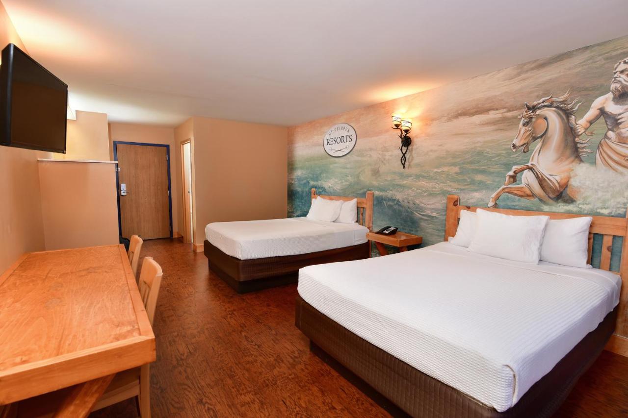 Resort Room 2 Queens includes water & theme park passes