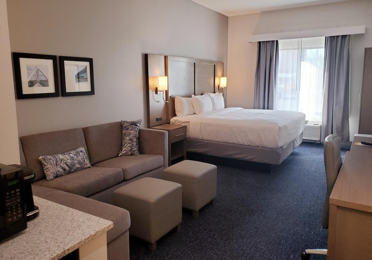 1 King Bed 1 Room Suite Sofabed