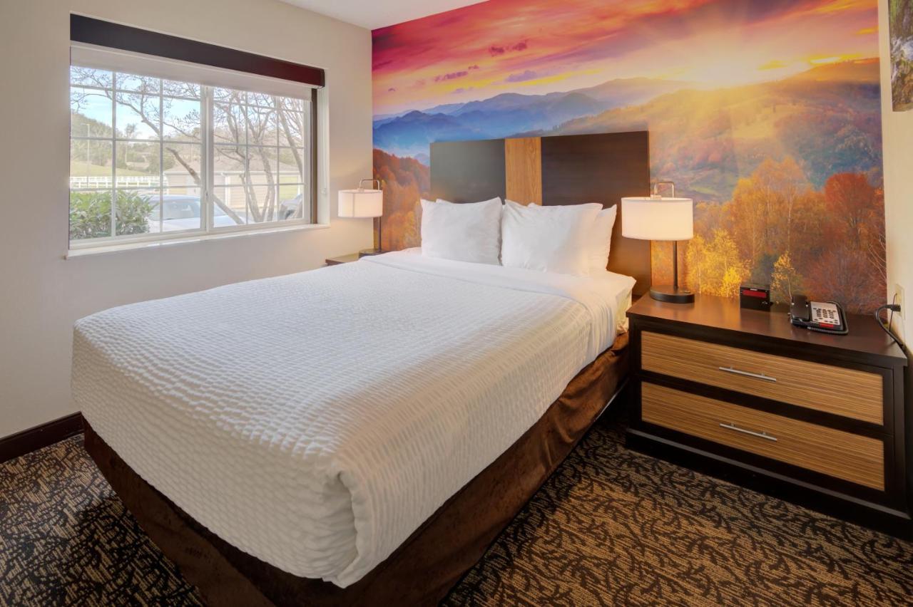 One-Bedroom Suite One Queen Bed Sofa Bed