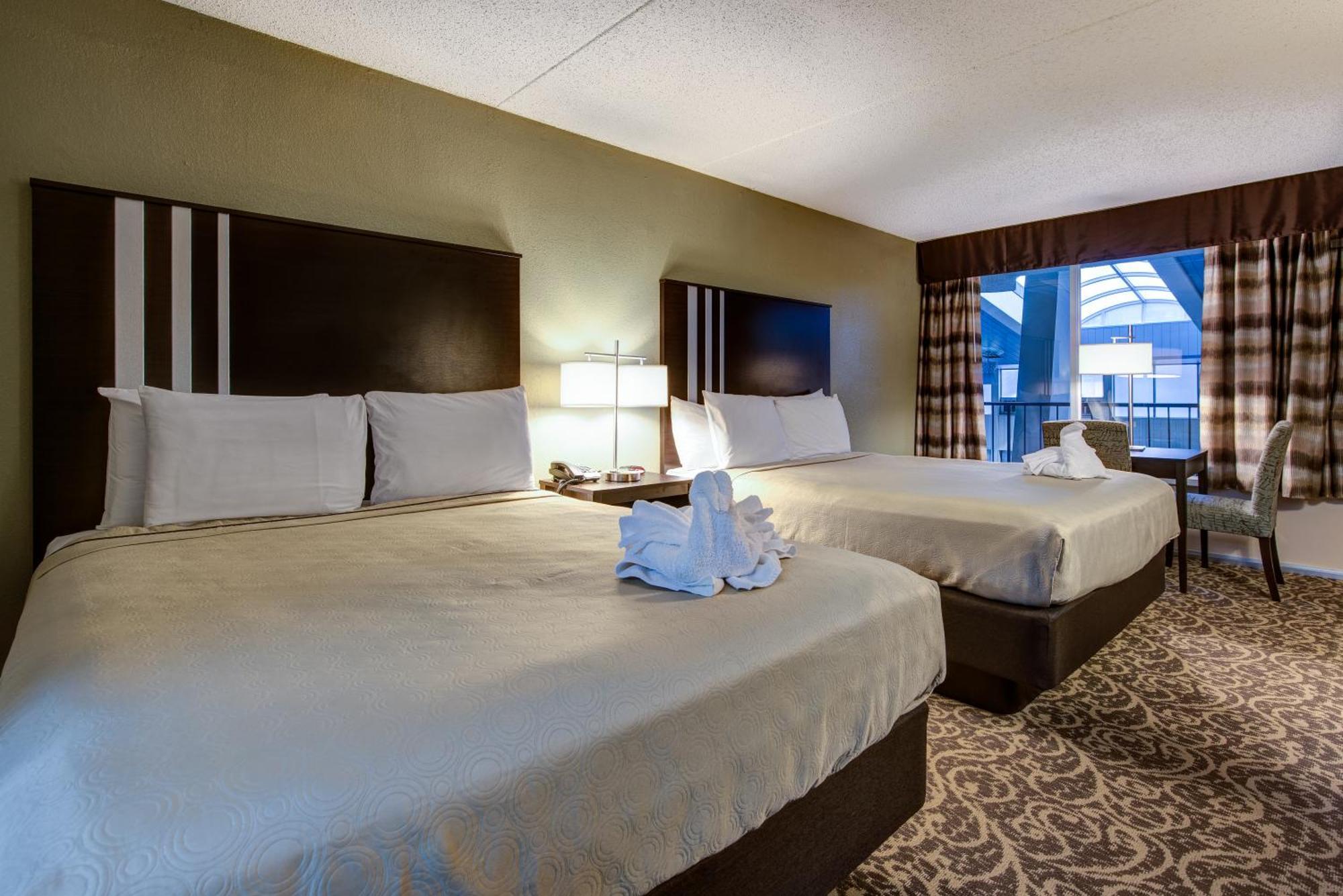Queen Room Pool View