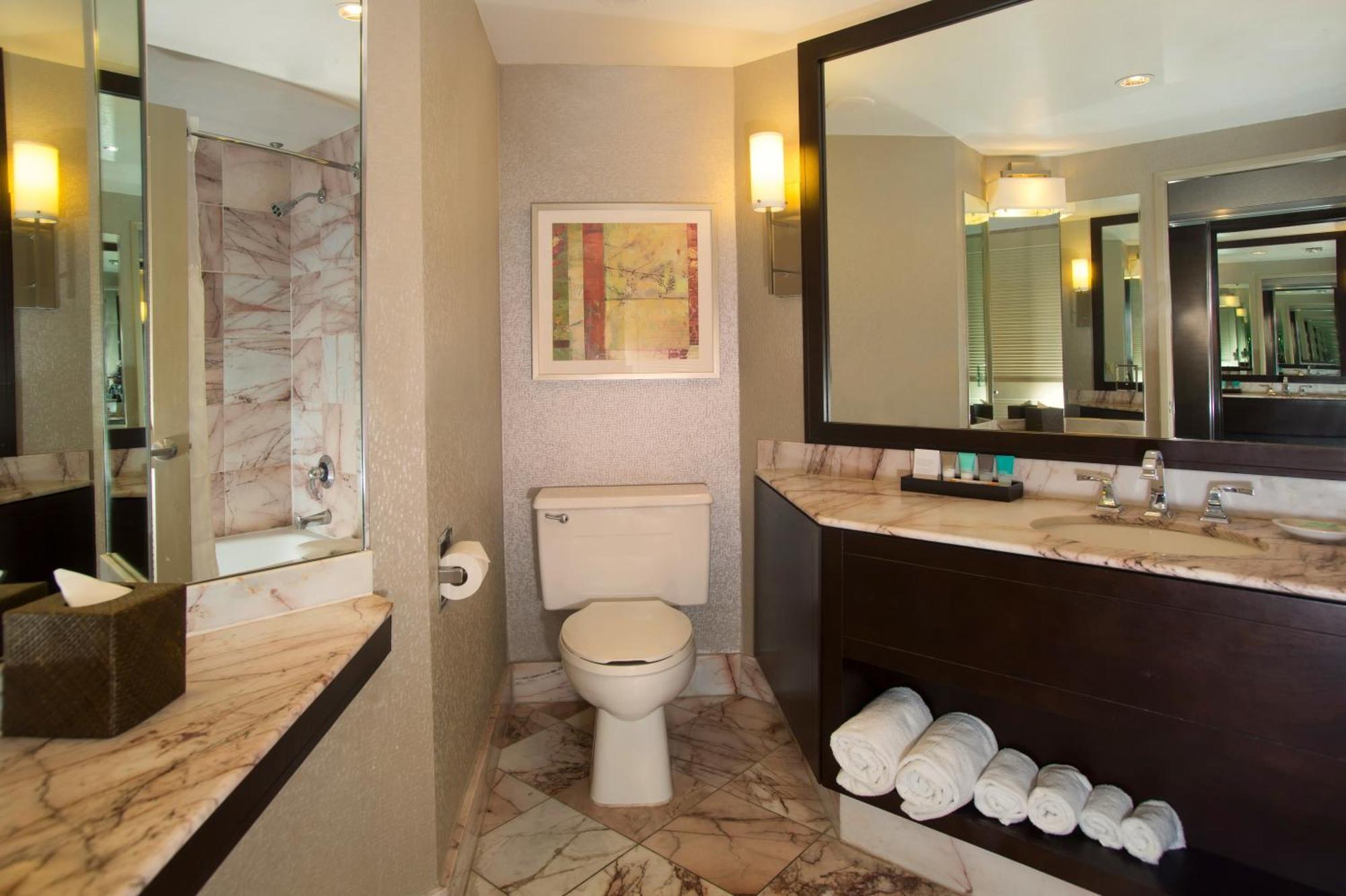 King Suite Accessible Tub Disability Access