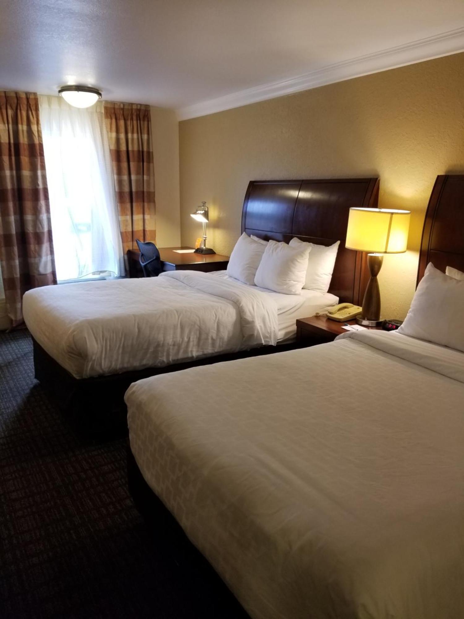 Double Room Two Double Beds Accessible or Non-Smoking