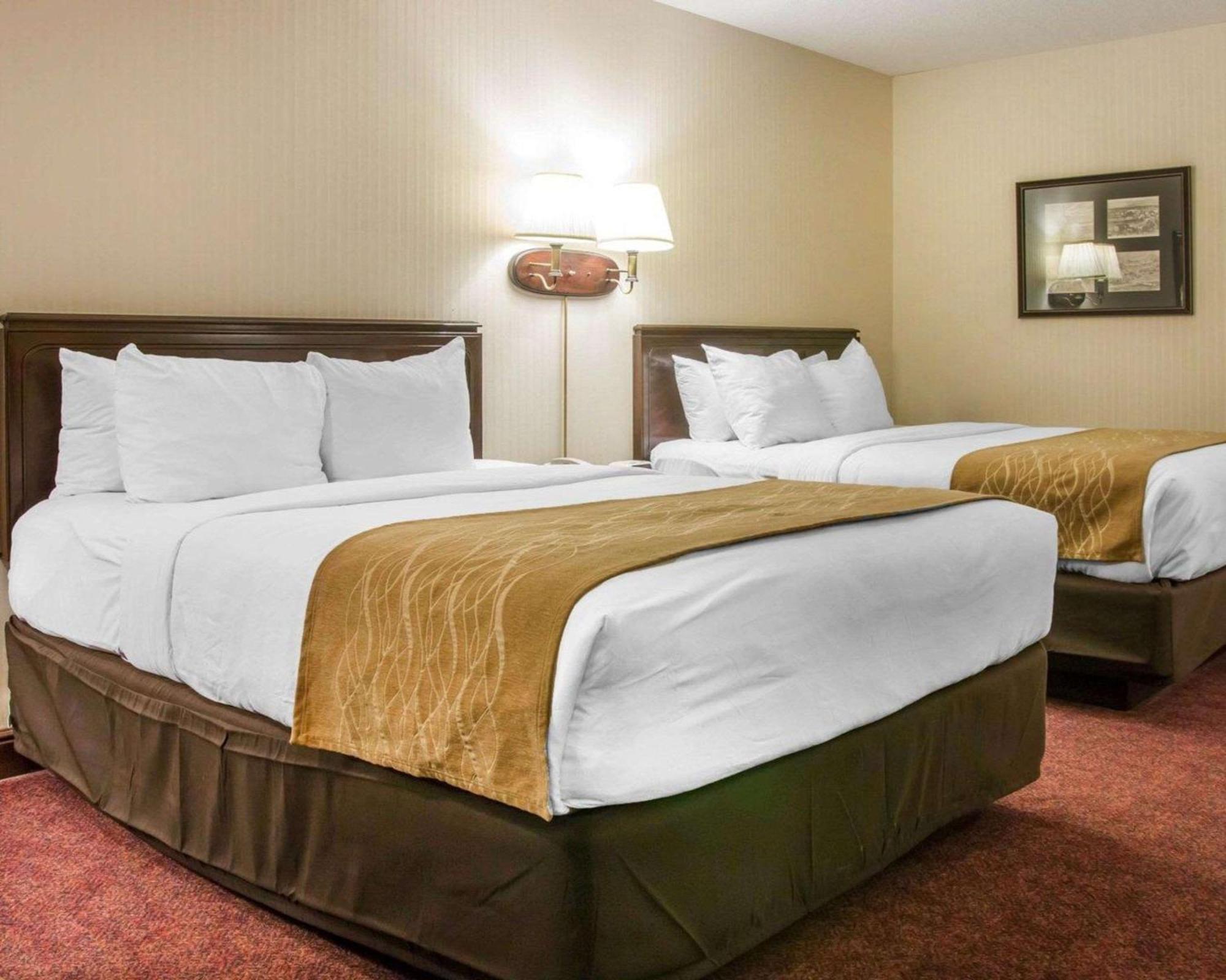 Queen Room Two Queen Beds