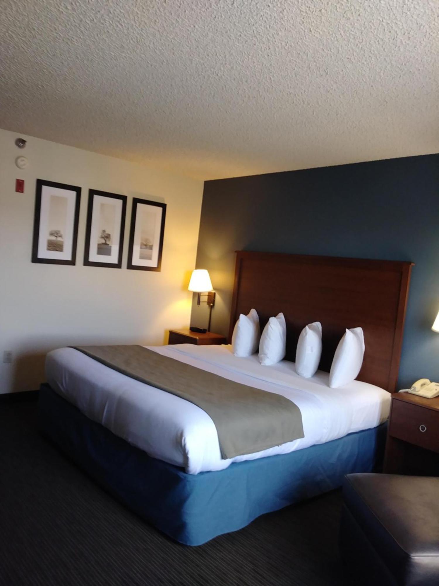 Executive King Room Non-Smoking
