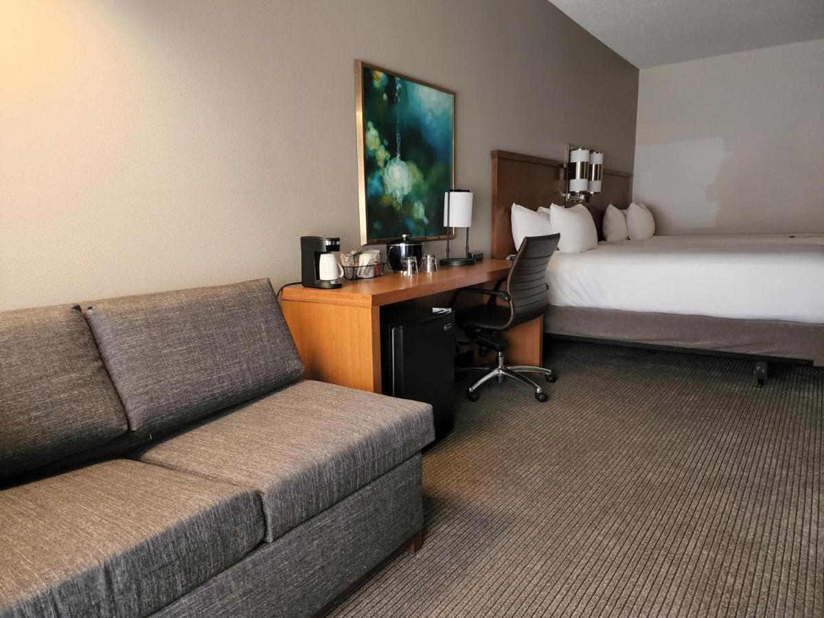 King Room Sofa Bed Roll Shower Disability Access