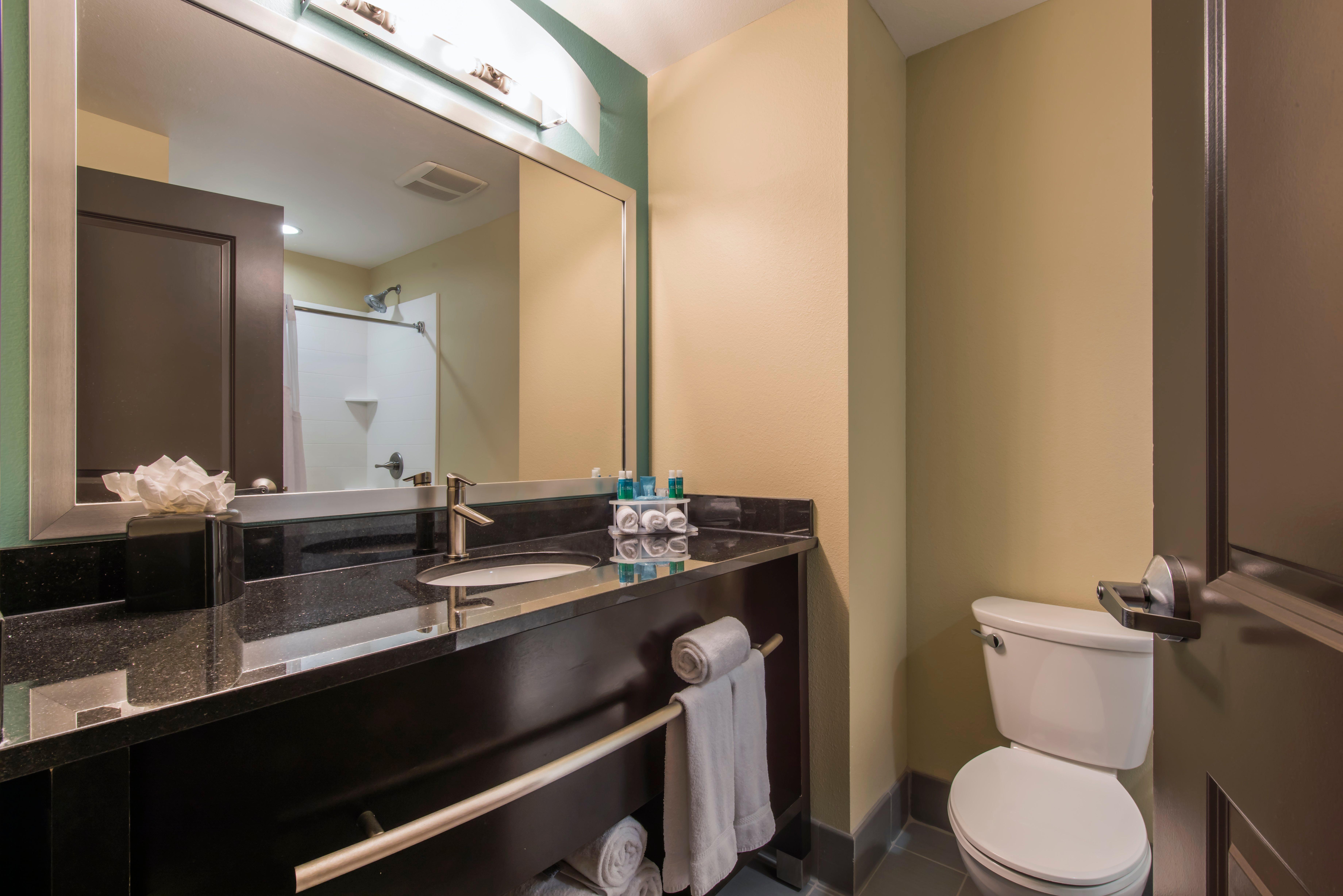 King Room Mobility Access or Hearing Accessible