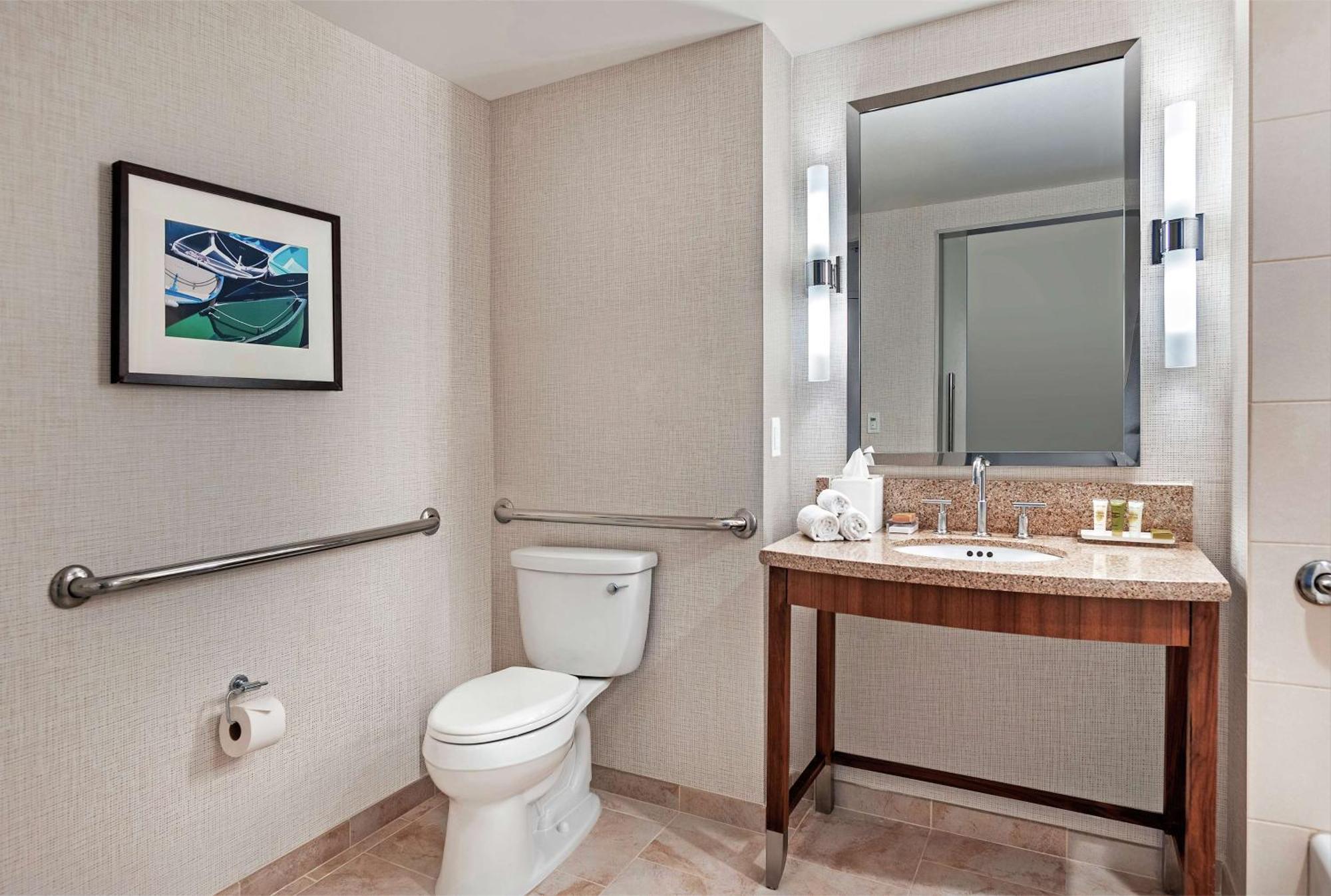 King Room Bath Tub Mobility Access