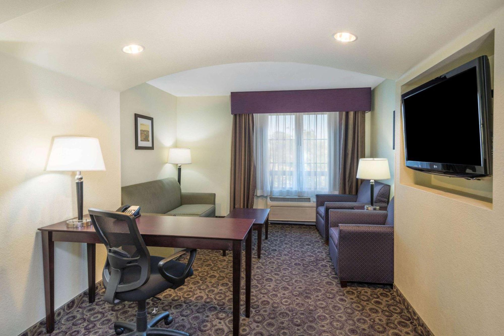 One-Bedroom King Suite Sofa Bed Non-Smoking