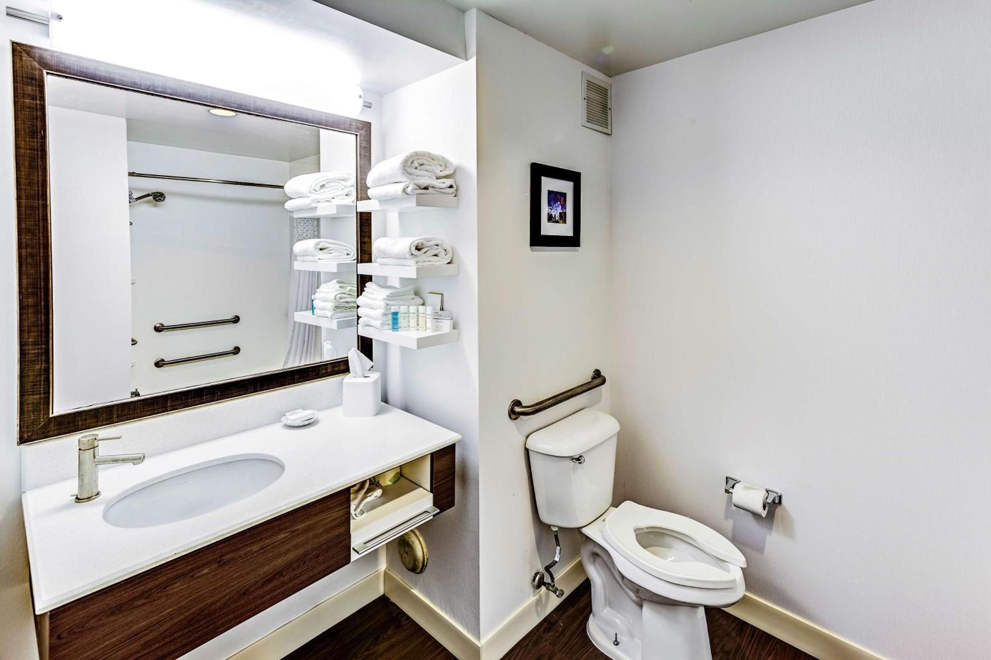 King Room Mobility Access or Non-Smoking
