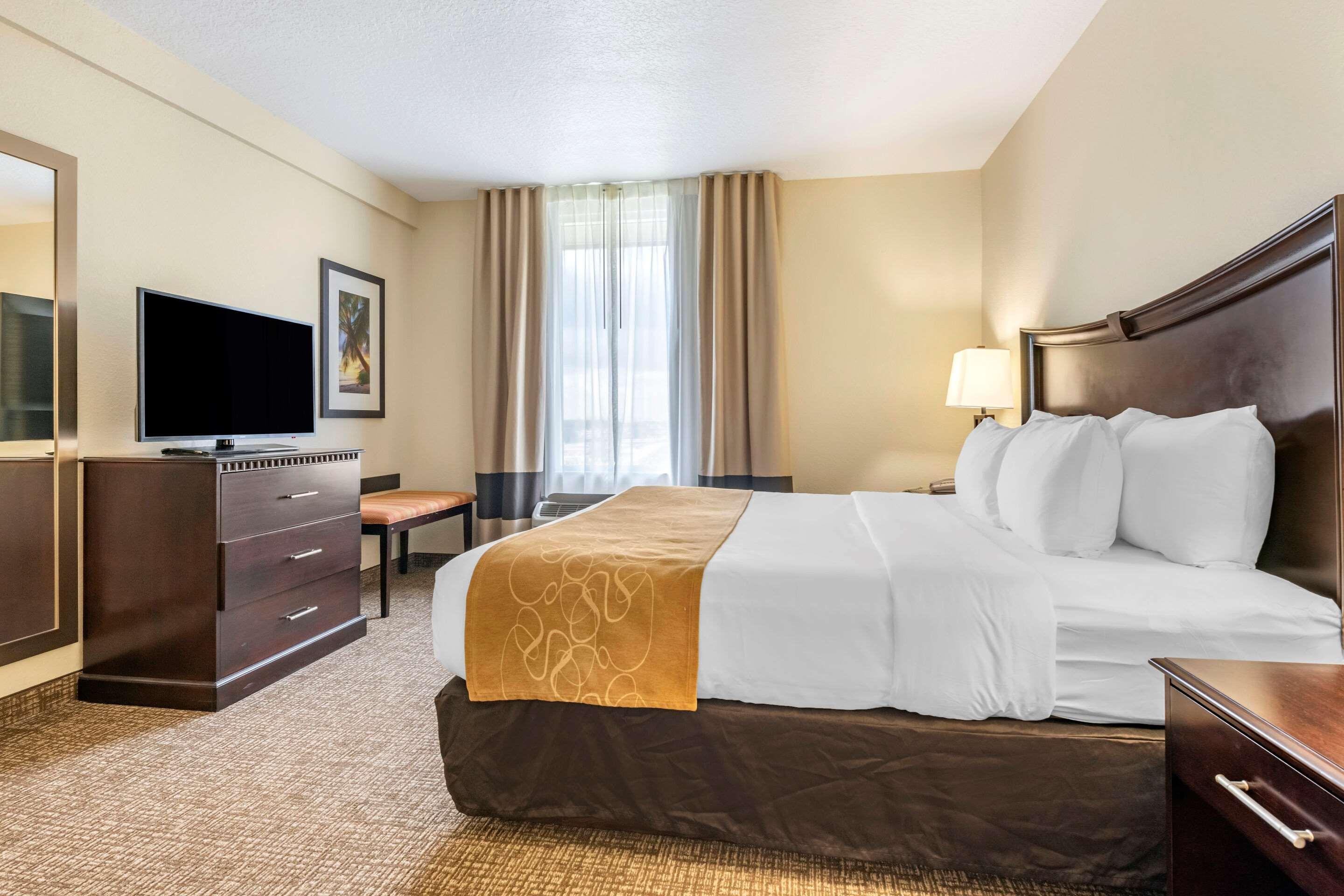 One-Bedroom King Suite Sofa Bed Non-Smoking