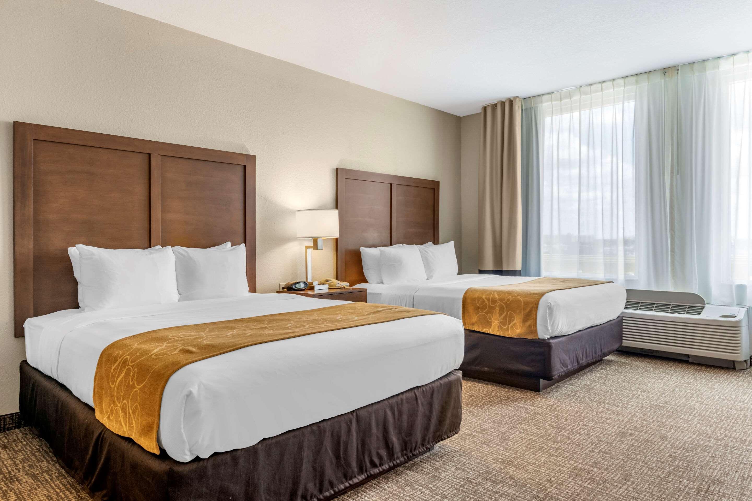Queen Suite