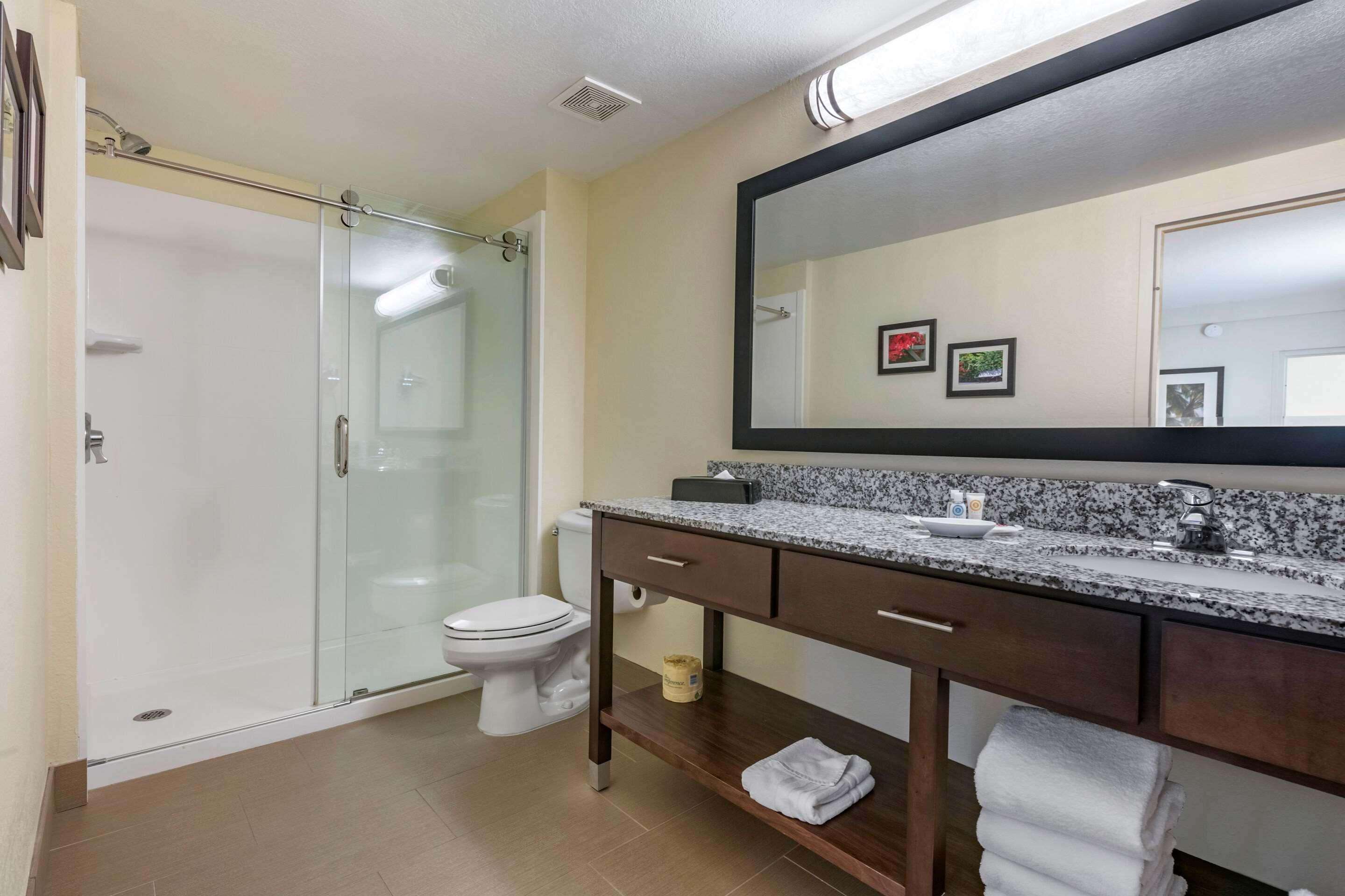 One-Bedroom King Suite Two Bathrooms