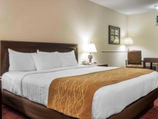 King Room Spa Bath