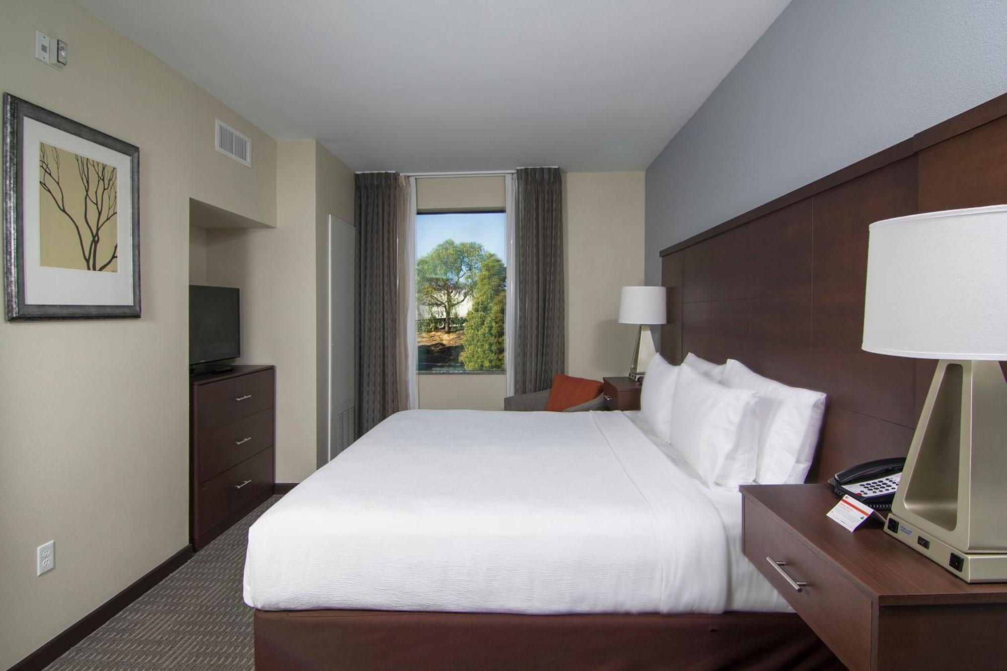 One-Bedroom King Suite Non-Smoking