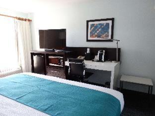 One-Bedroom King Suite Sofa Bed Non-Smoking