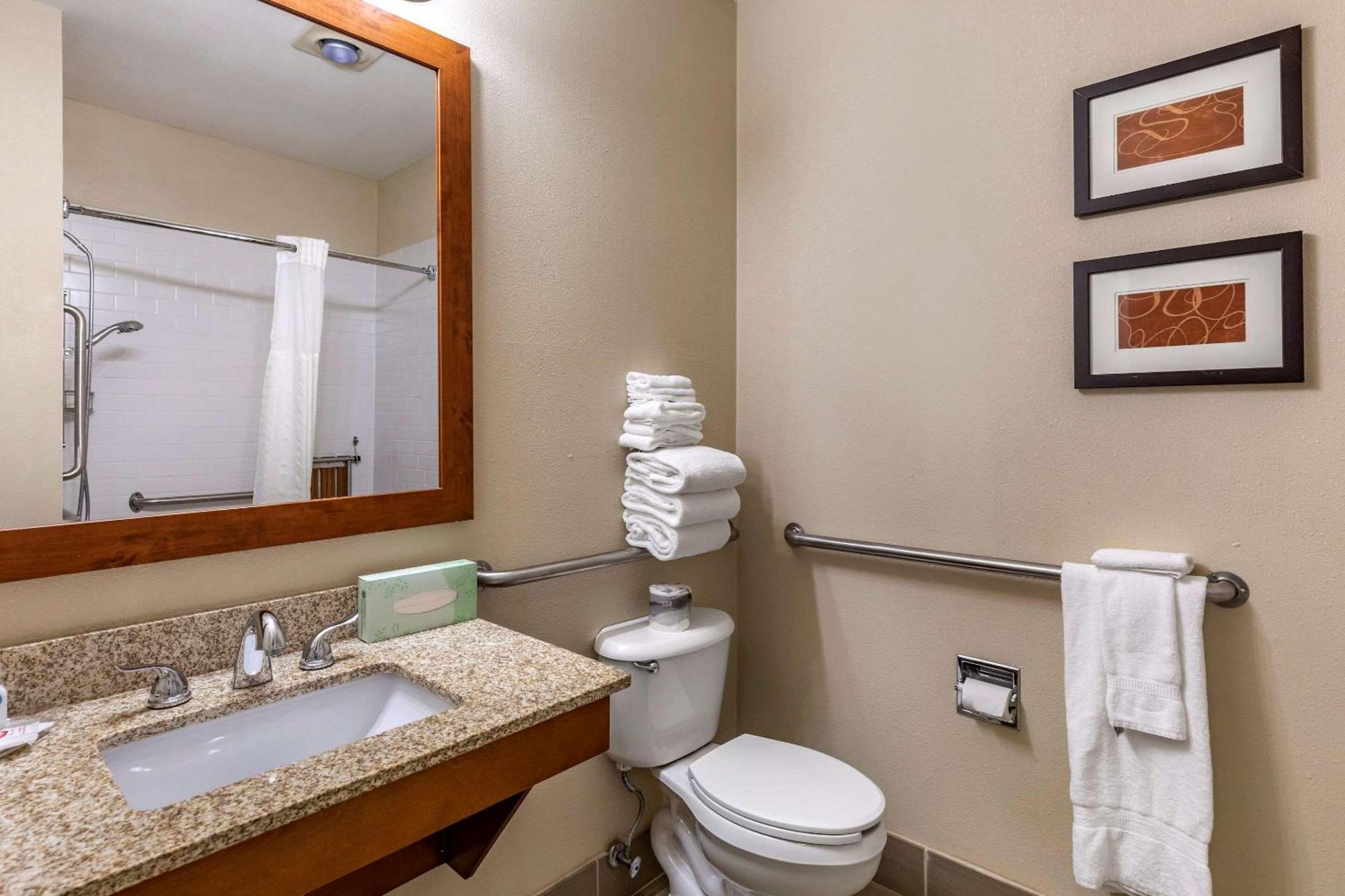 Apartament typu Suite z łóżkiem typu king-size i rozkładaną sofą – dla niepalących – przystosowany dla osób niepełnosprawnych