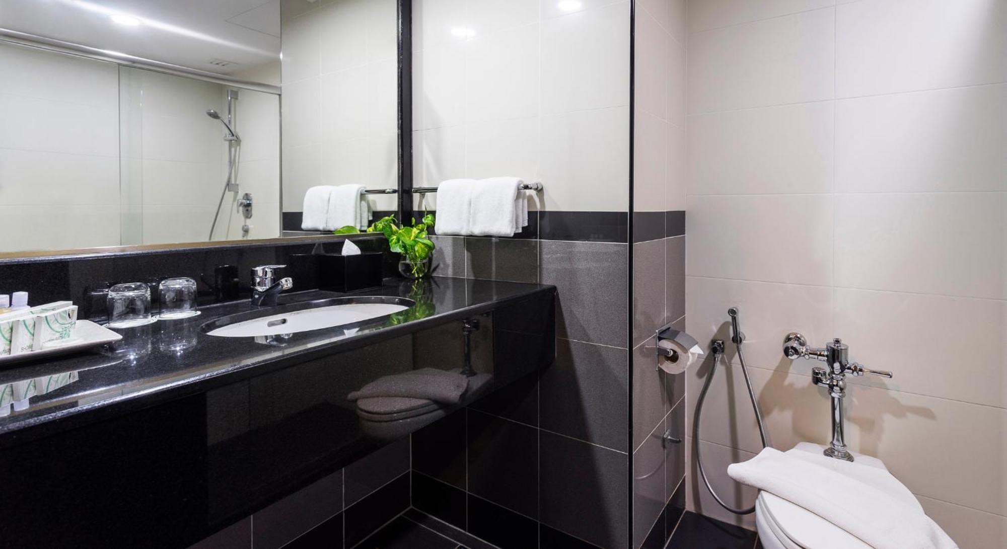 Superior Double or Twin Room City View
