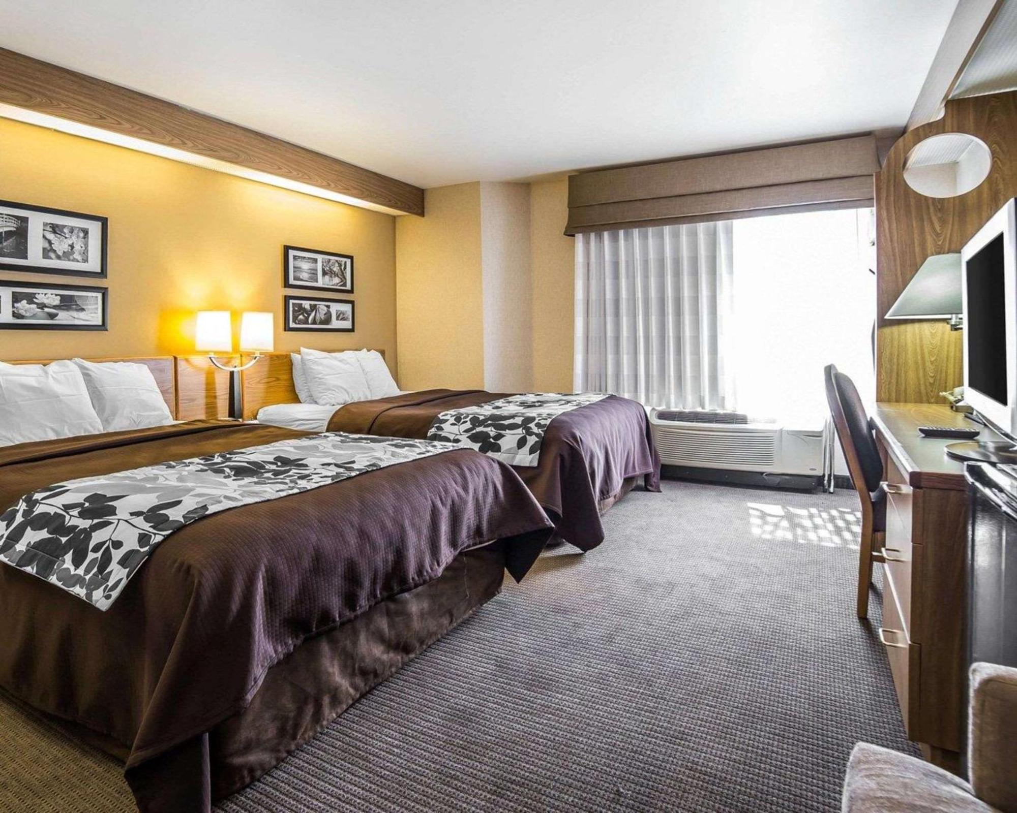 Queen Room Two Queen Beds Non-Smoking