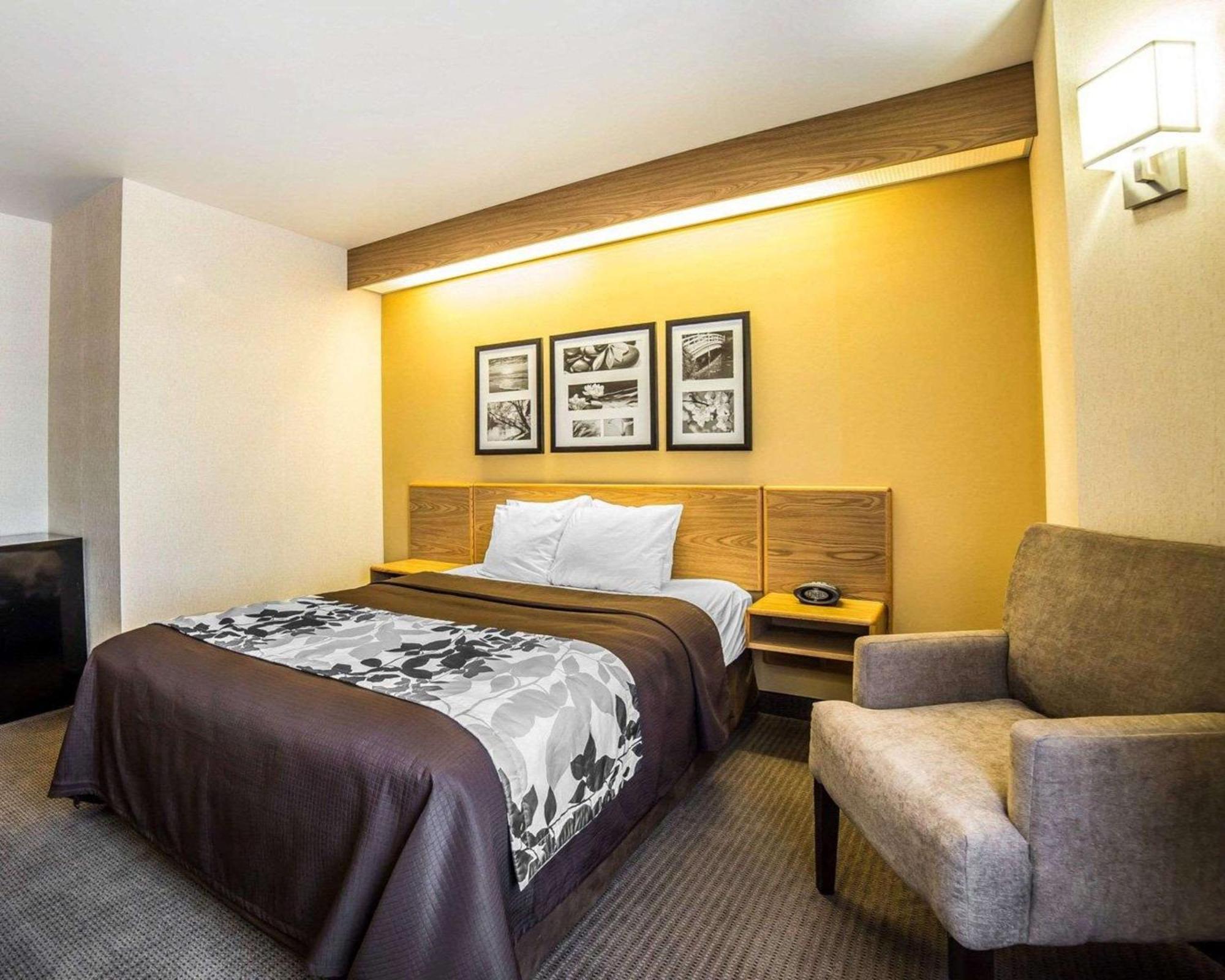 Queen Room Accessible or Nonsmoking