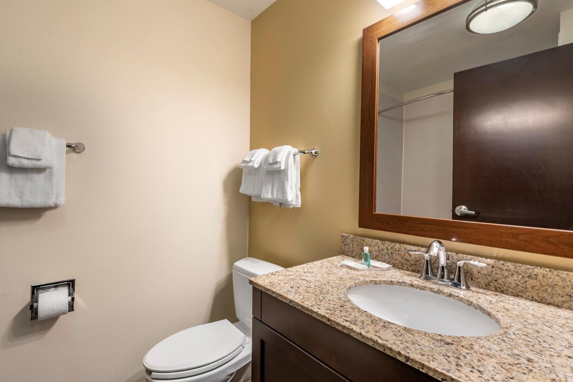 Efficiency King Suite Non-Smoking or Upper Floor