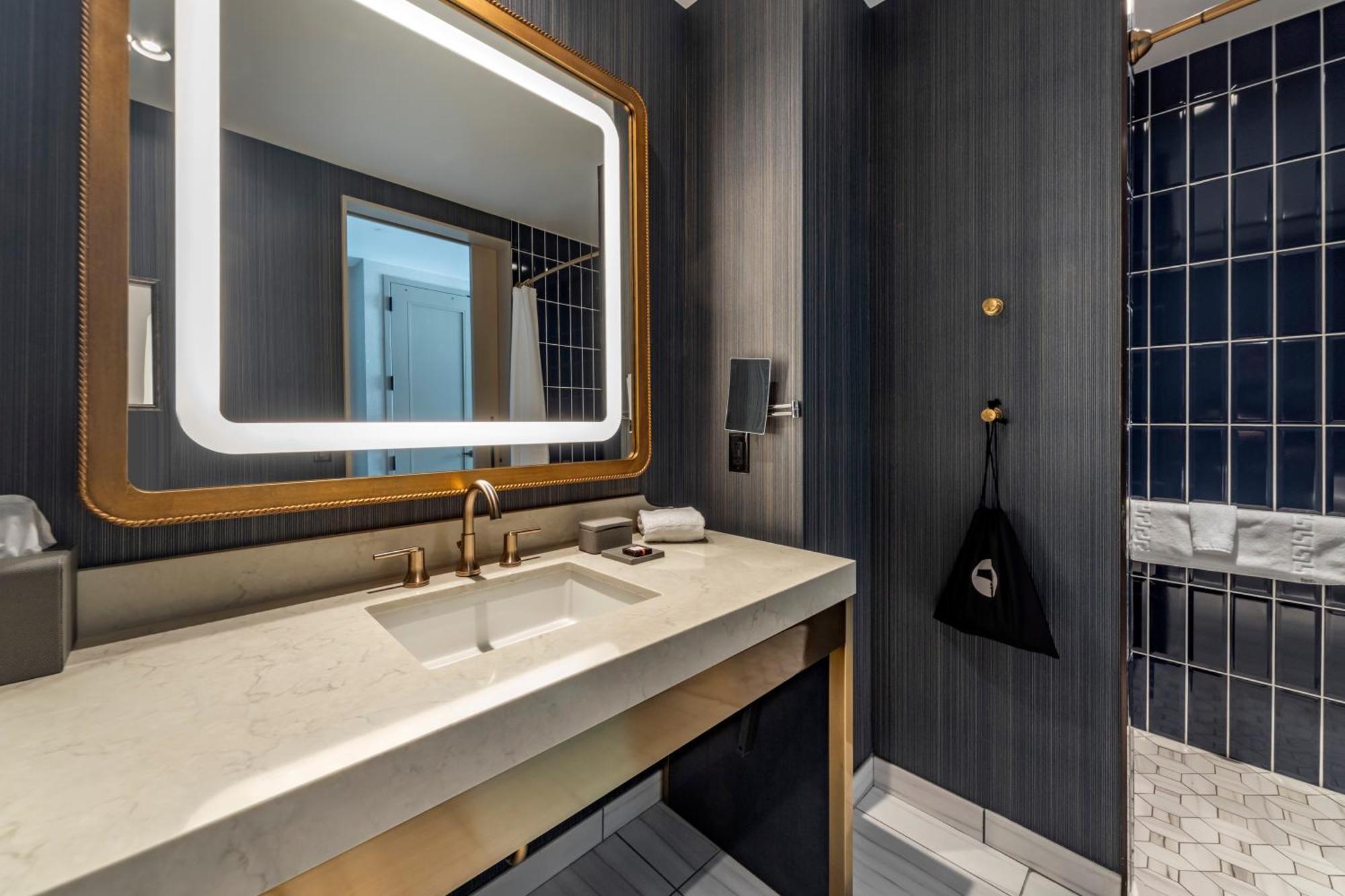 Accessible Deluxe Room Roll Shower King Bed