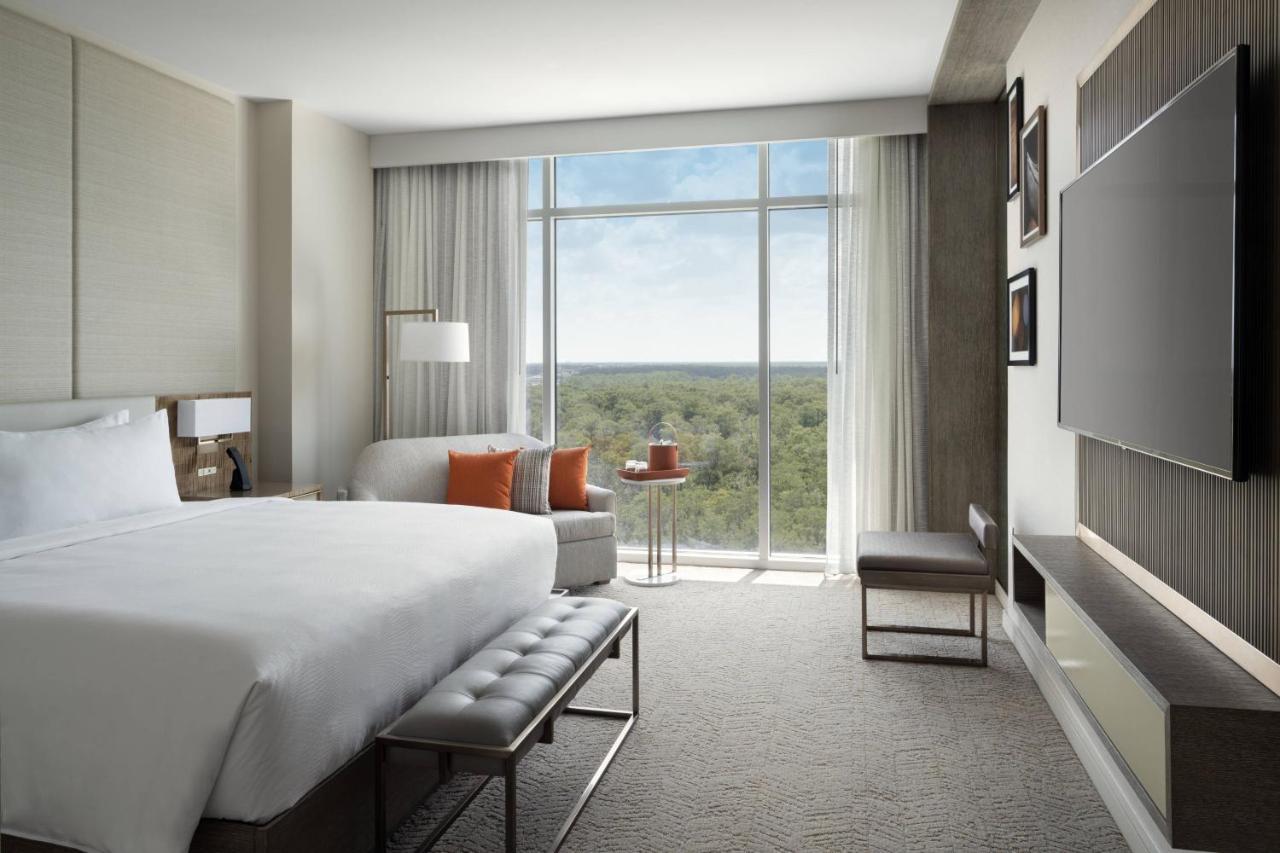 1 Bedroom Executive Suite 1 King Sofa bed Pool view