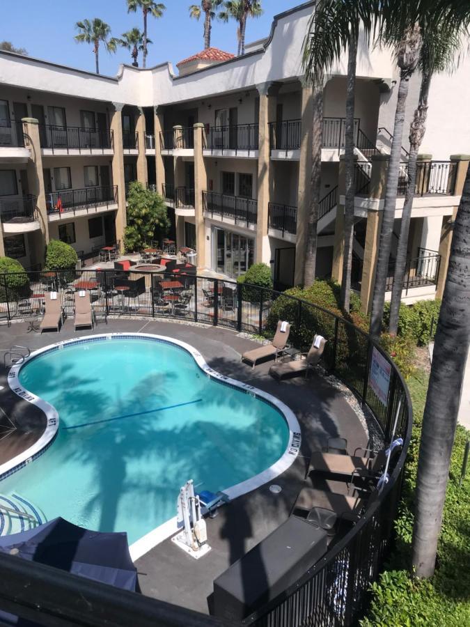 Standard Room 1 King Bed Pool View Non Smoking
