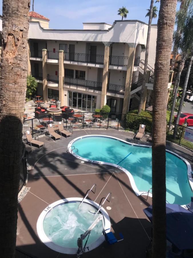 Standard Room 1 King Bed Pool View Non Smoking
