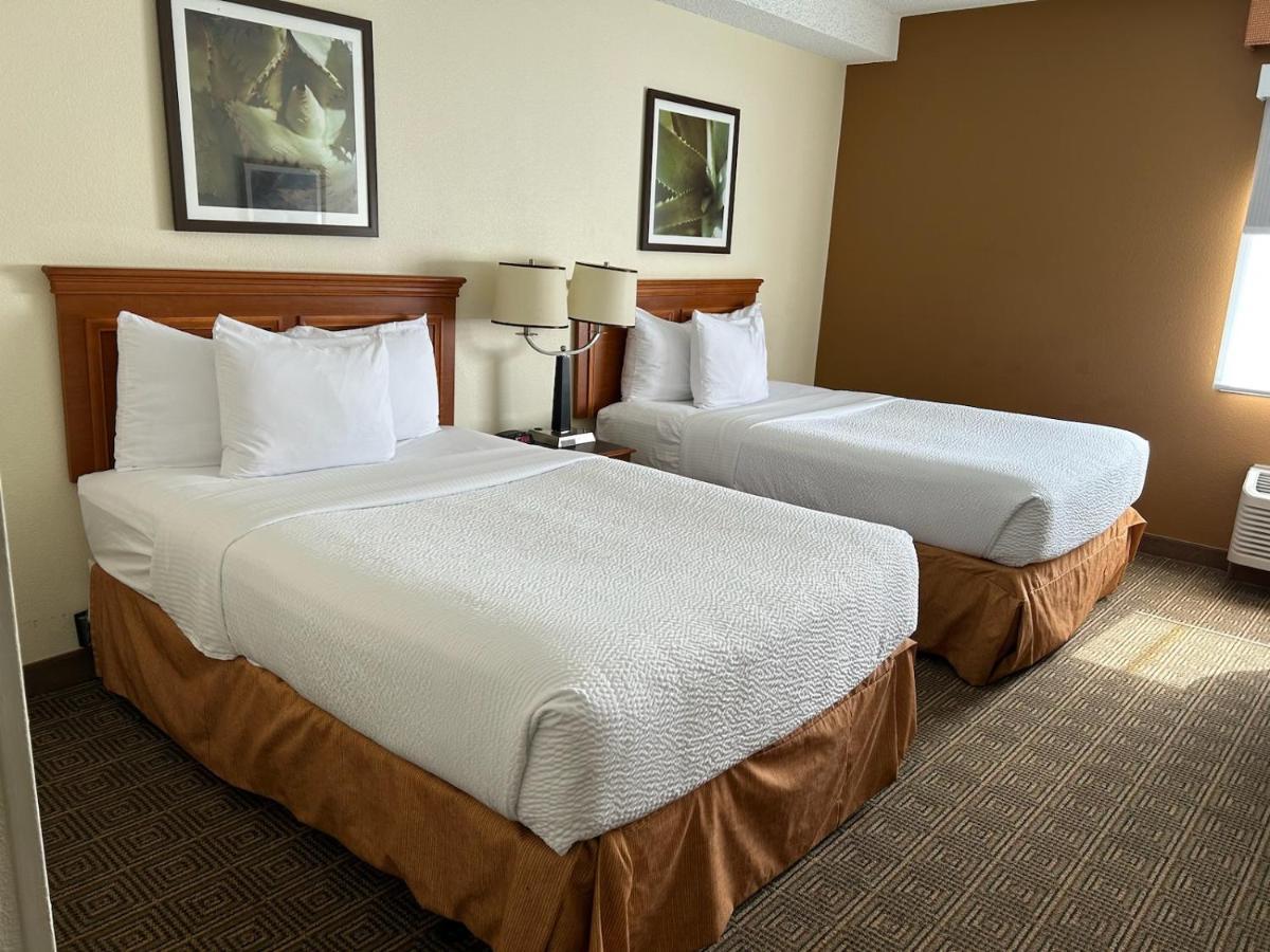 Double Room Two Double Beds Non-Smoking