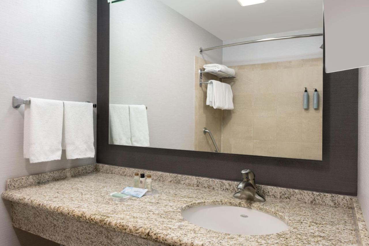 One-Bedroom Apartment King Bed Bathtub Sofa Bed Mobility Access or Hearing Accessible