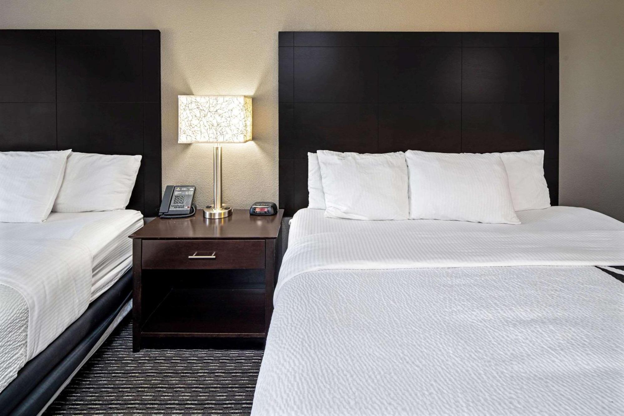 2 Full Beds Suite