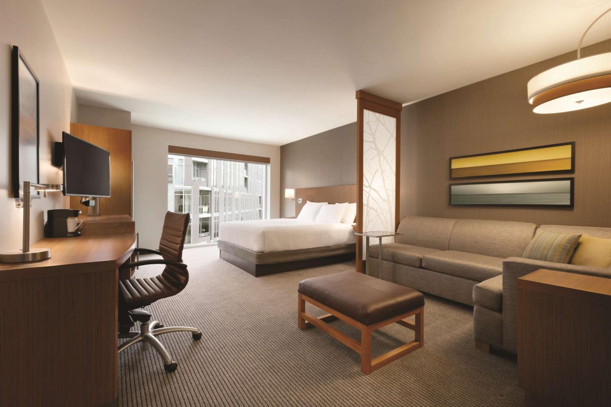 King Room Sofa Bed