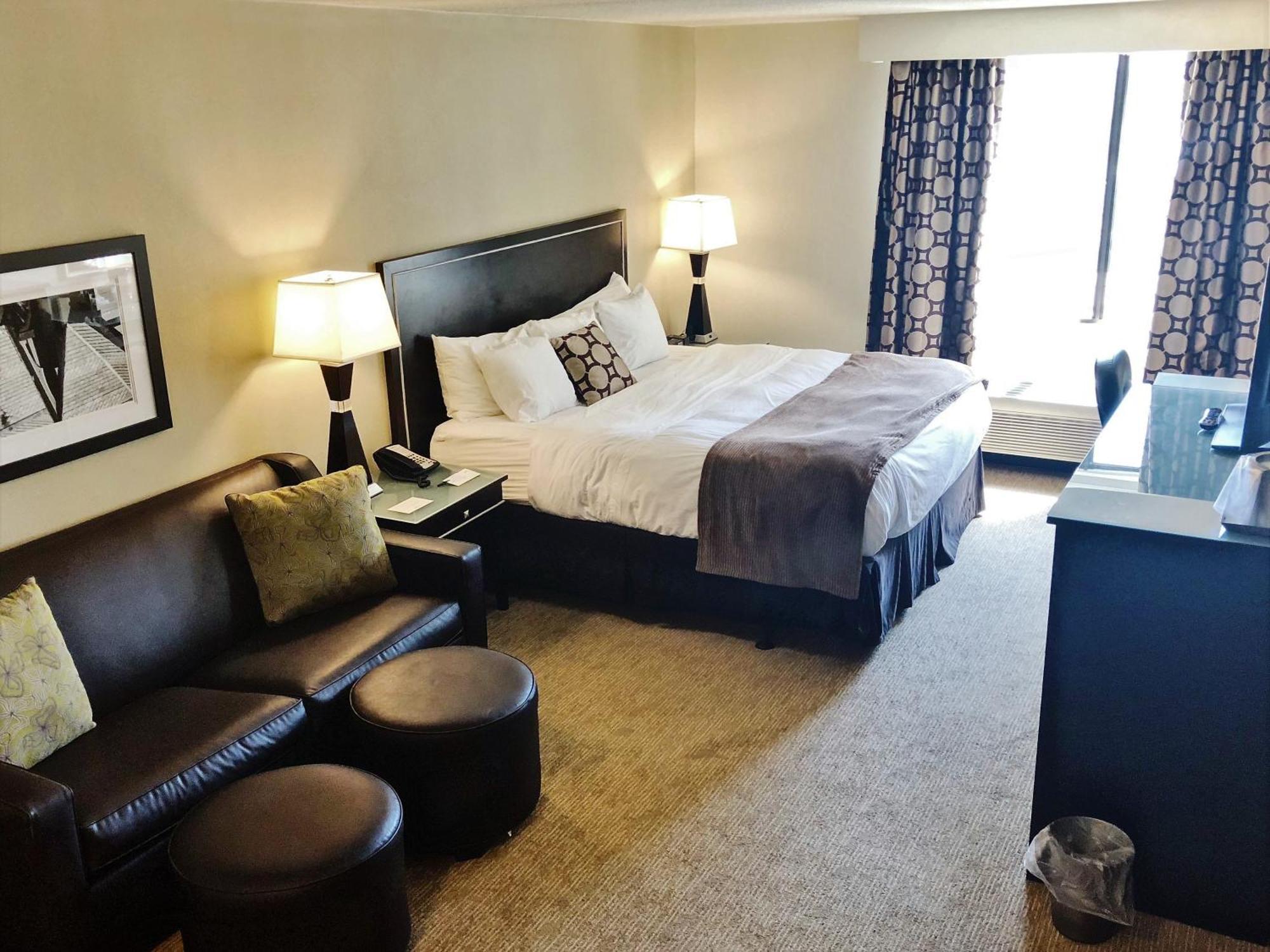 Executive Queen Room Sofa Bed Non-Smoking