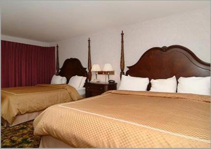 Queen Room Two Queen Beds Lake View