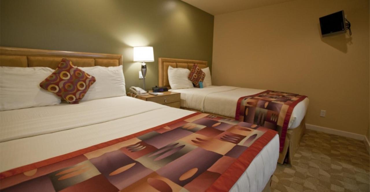 One-Bedroom Suite