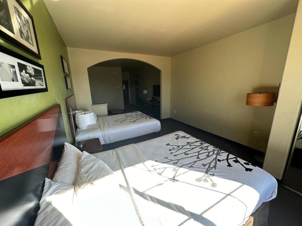 Queen Suite Two Queen Beds Sofa Bed