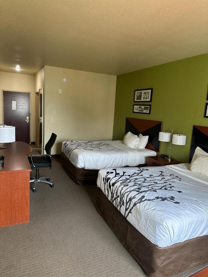 Queen Room Two Queen Beds