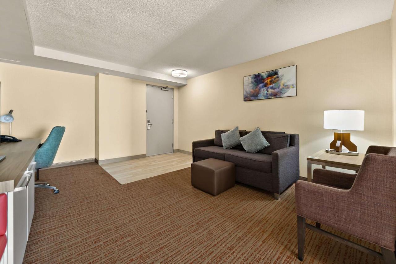One-Bedroom King Suite Sofa Bed