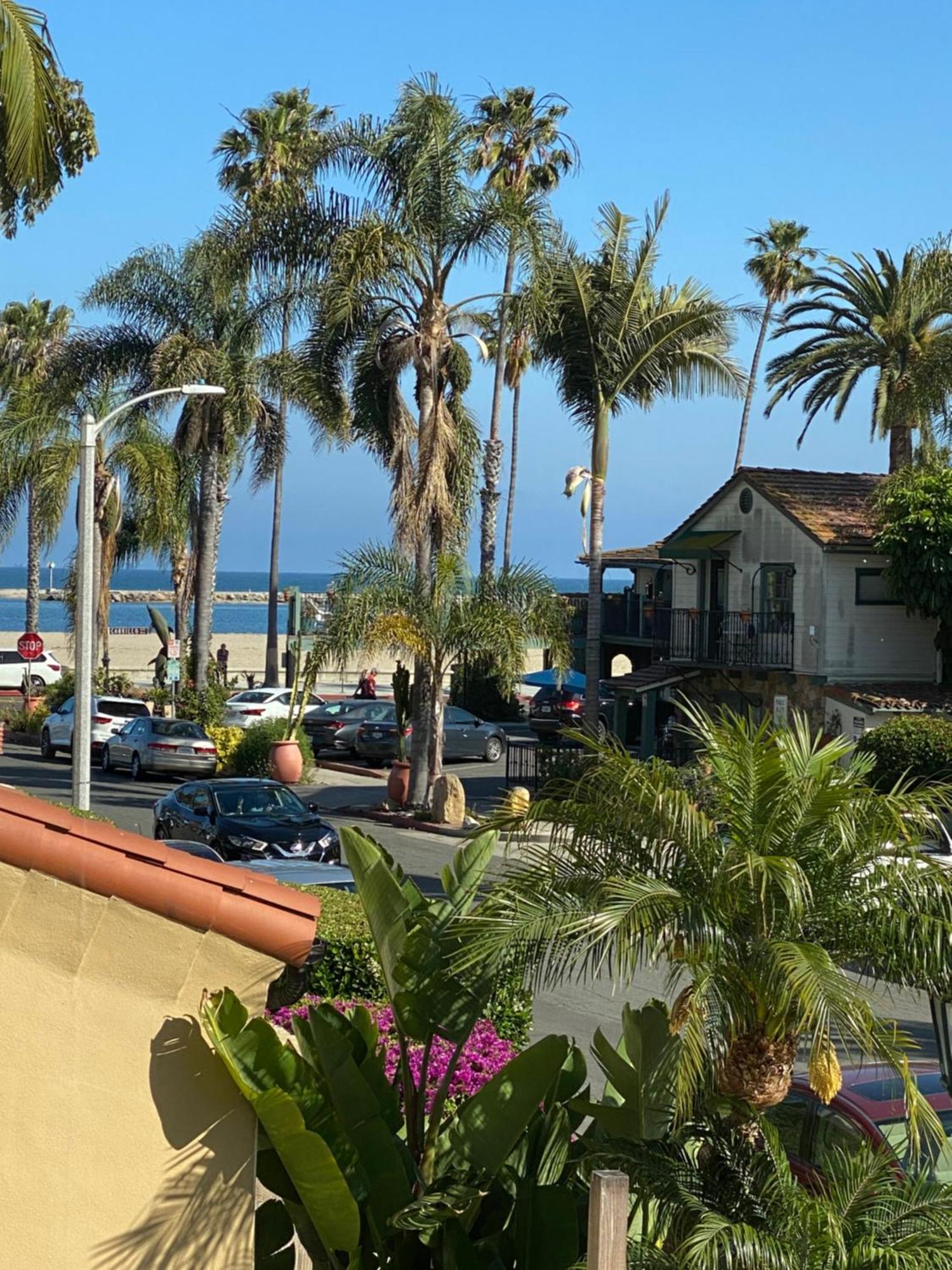 Apartment Sea View