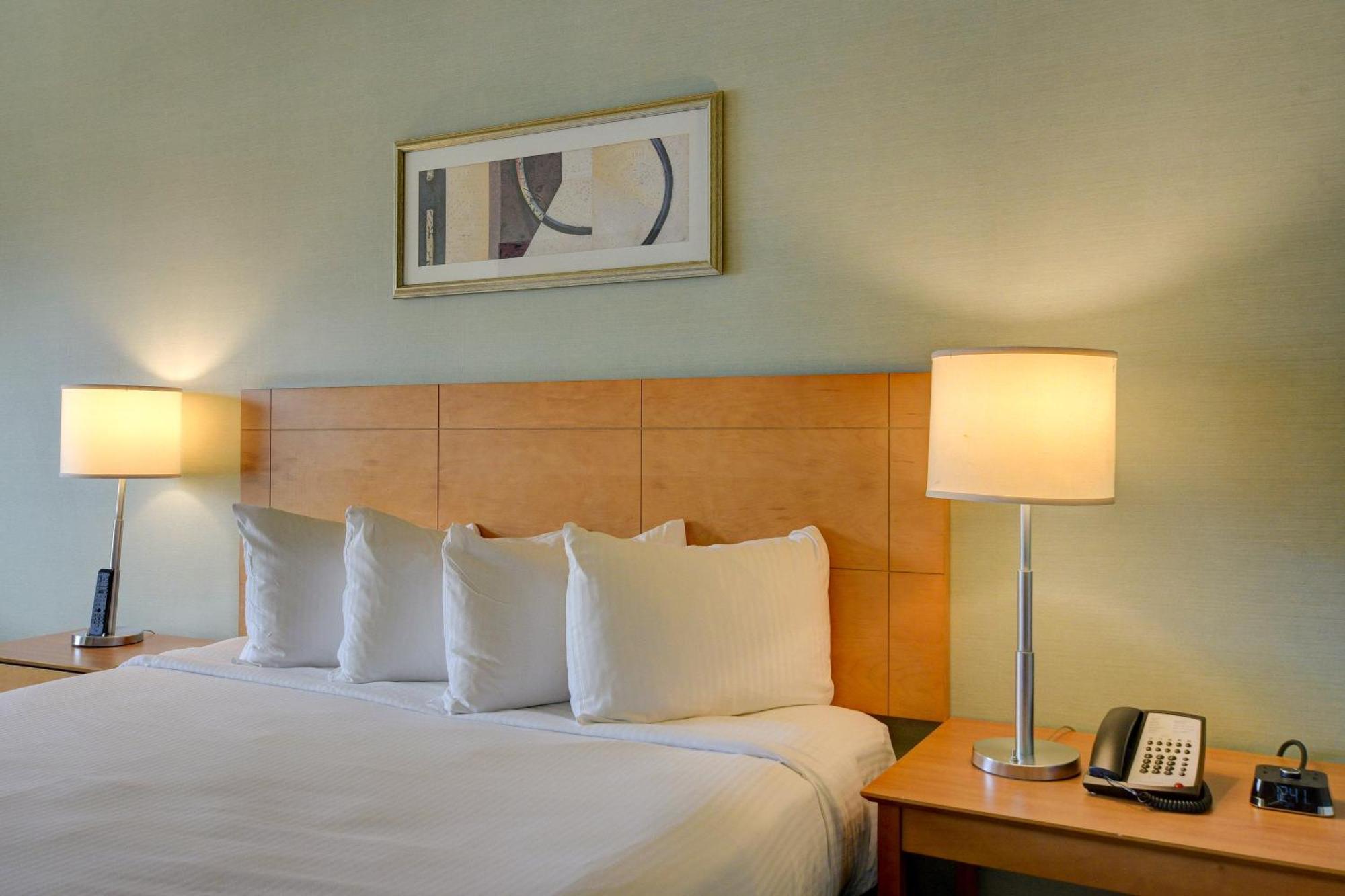 One-Bedroom Suite