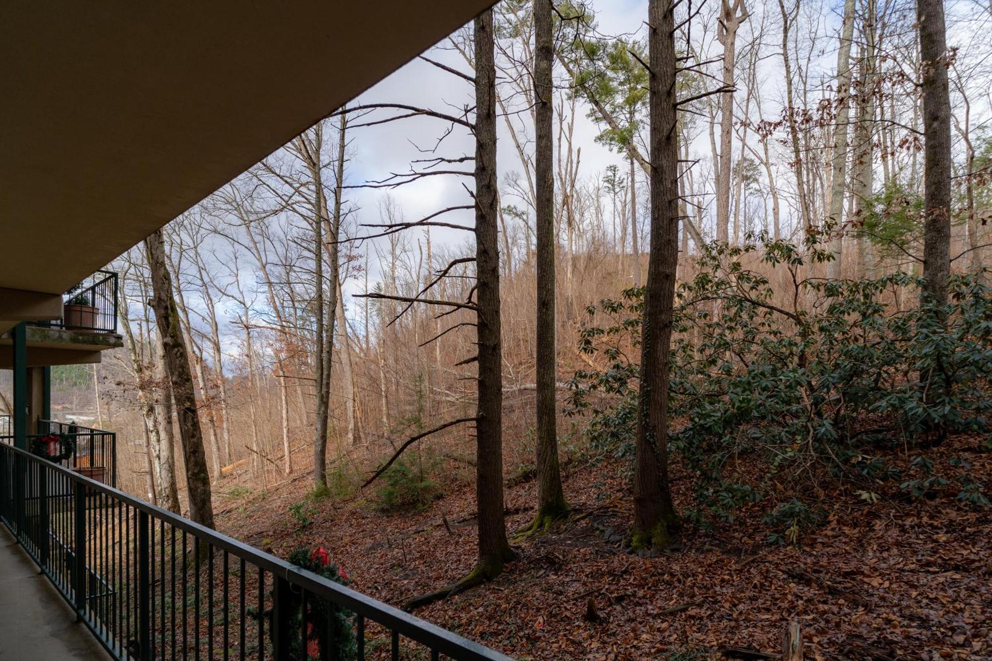 Apartment Mountain View
