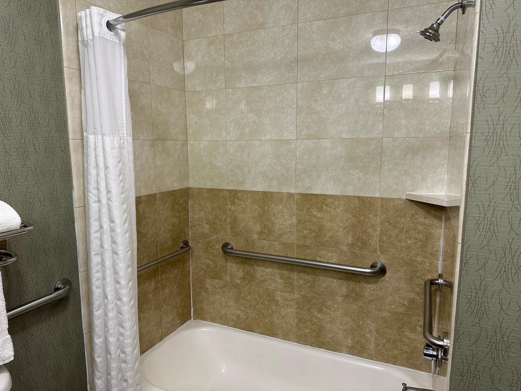 1 King Bed Presidential One-Bedroom Suite City or Lake or Pool View Non-Smoking