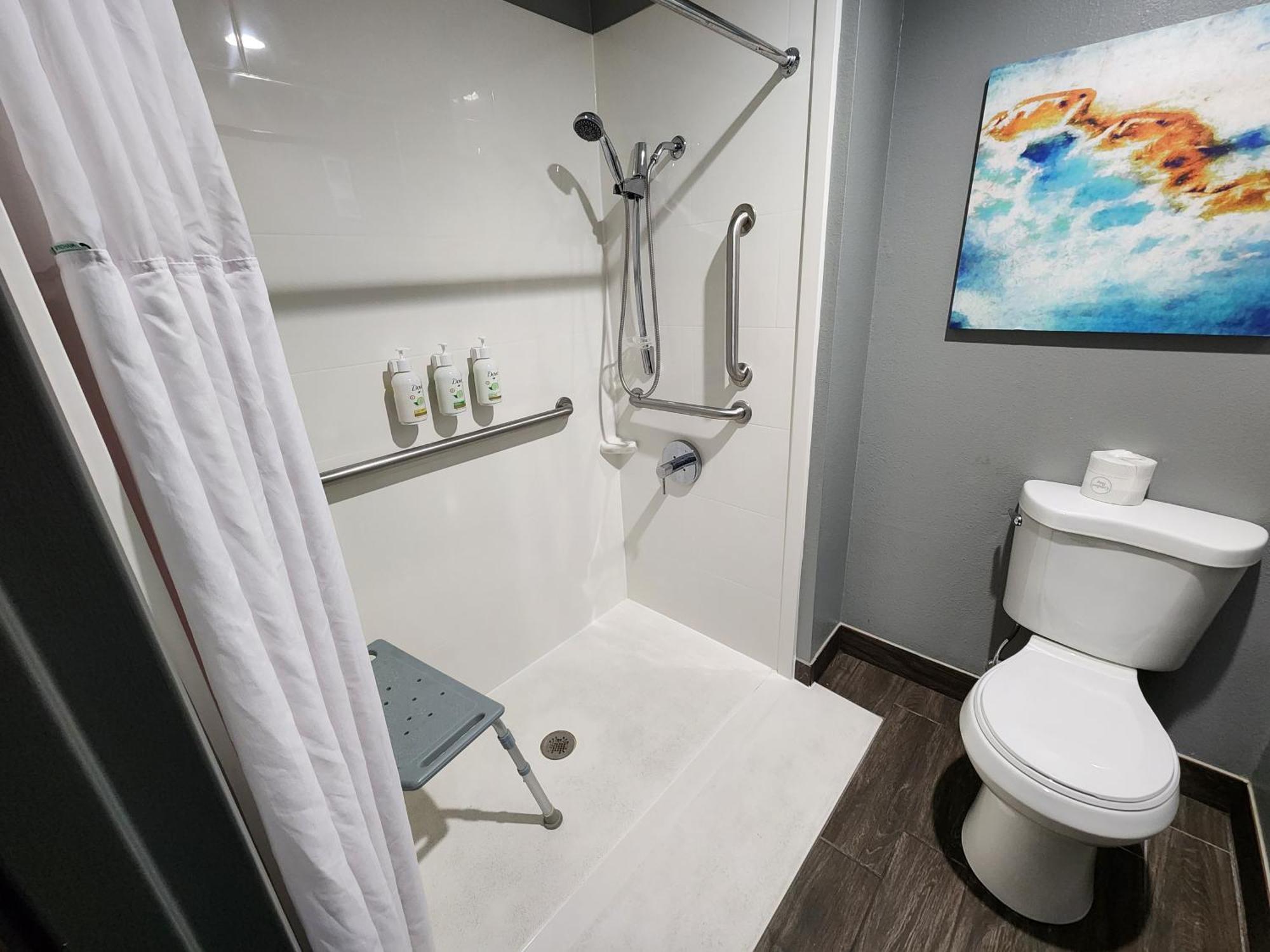 King Room Roll Shower Mobility Access or Non-Smoking