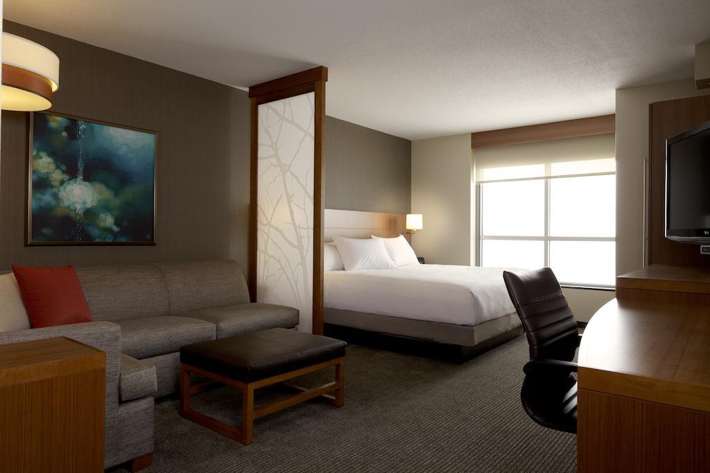 King Room Sofa Bed High Floor