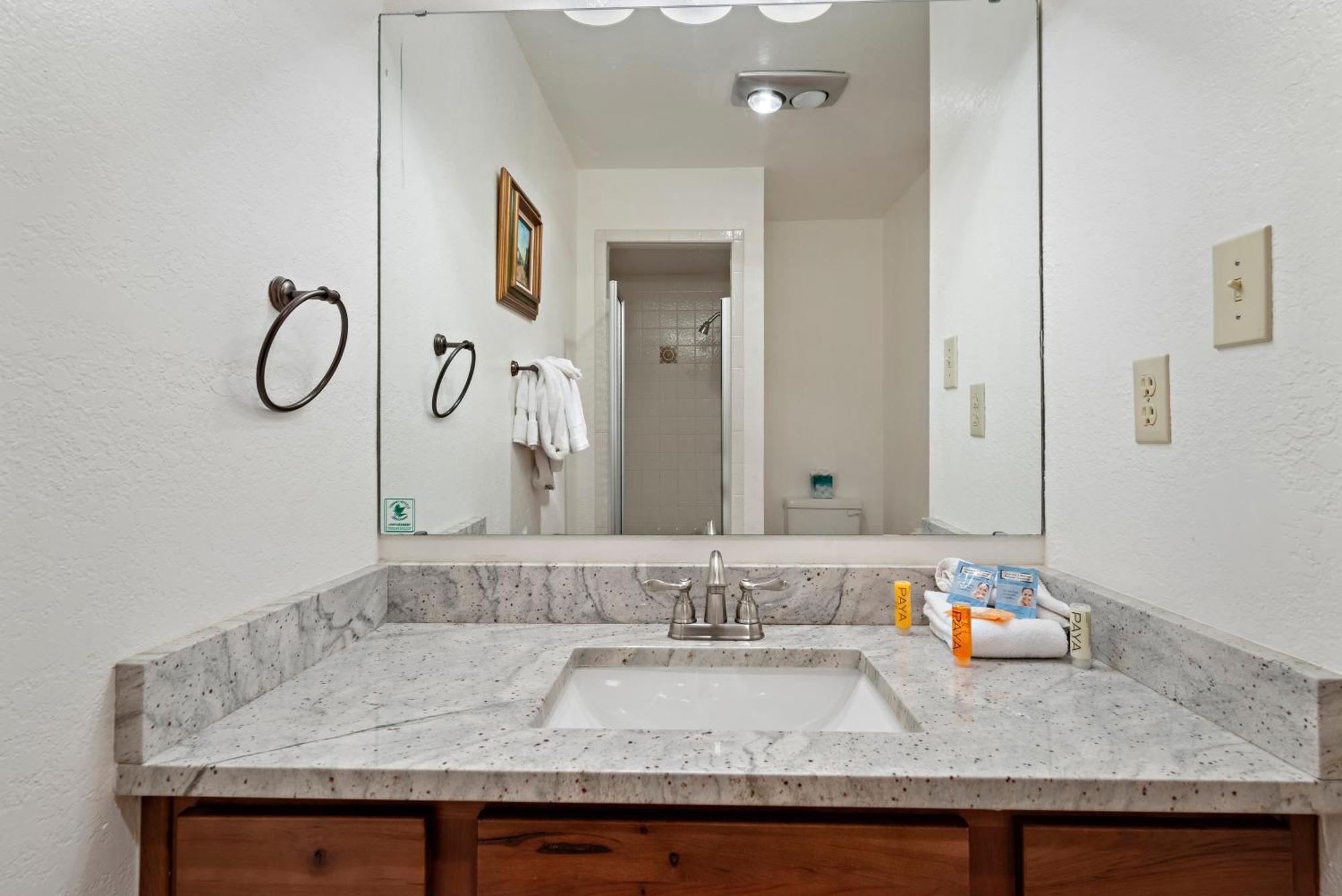 1 Bedroom Condominium