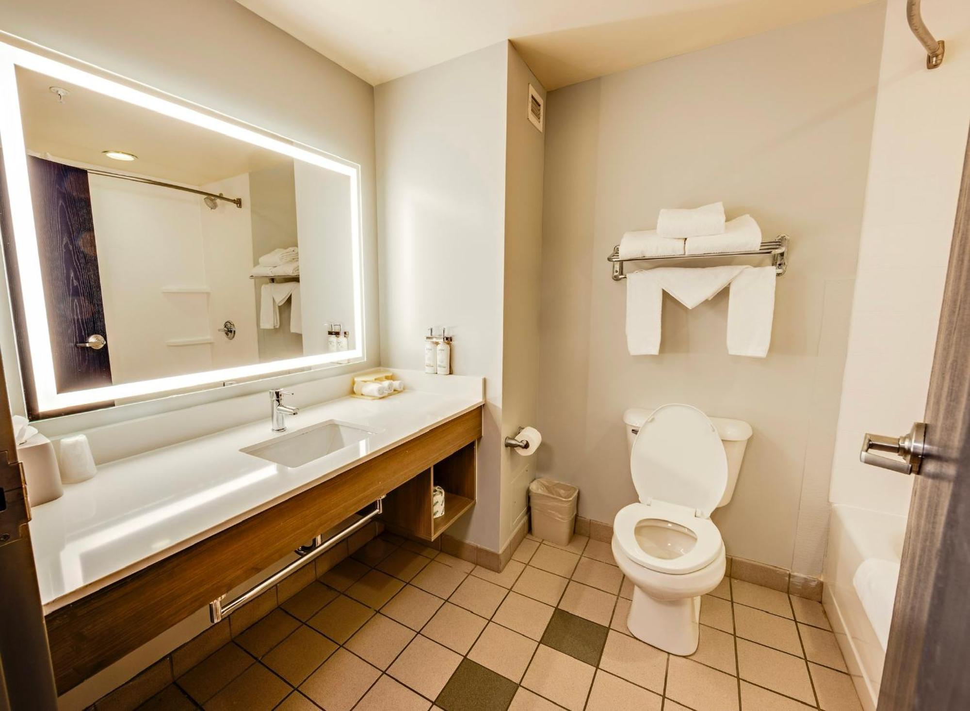 King Room Hearing Accessible or Non-Smoking