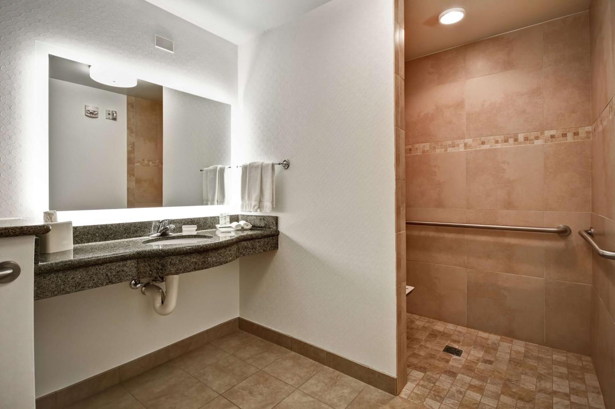 King Room Roll Shower Mobility or Hearing Accessible